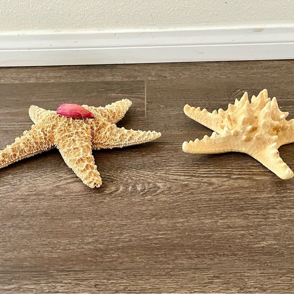 Decorative Starfish Set with Pink Accent - Picture 2 of 13
